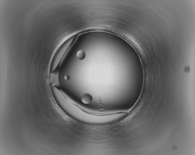X0000096410940200802071651