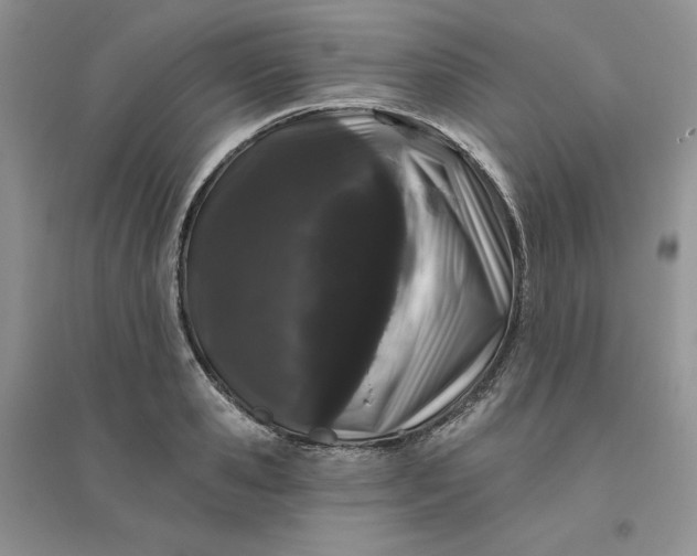 X0000096410941200802071651