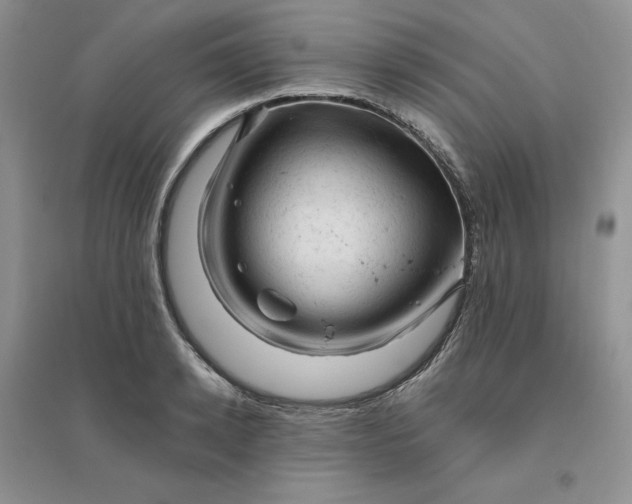 X0000096410942200802071651