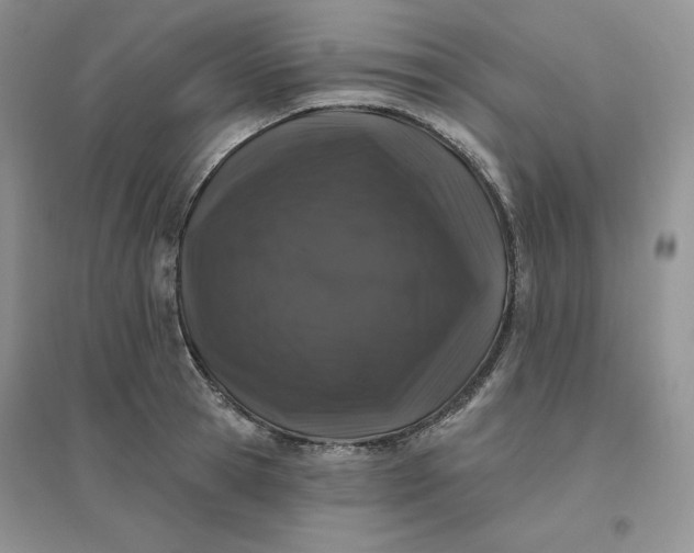 X0000096410945200802071652