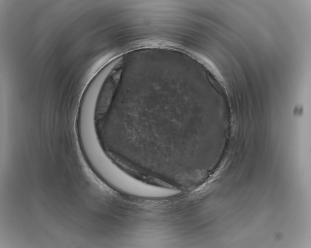 X0000096410946200802071652