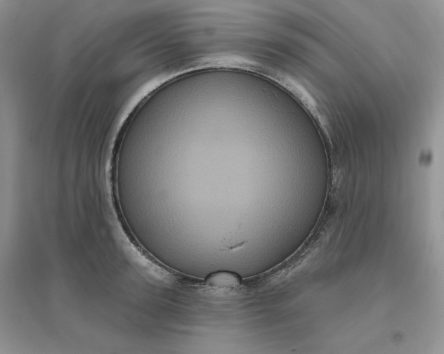 X0000096410947200802071652