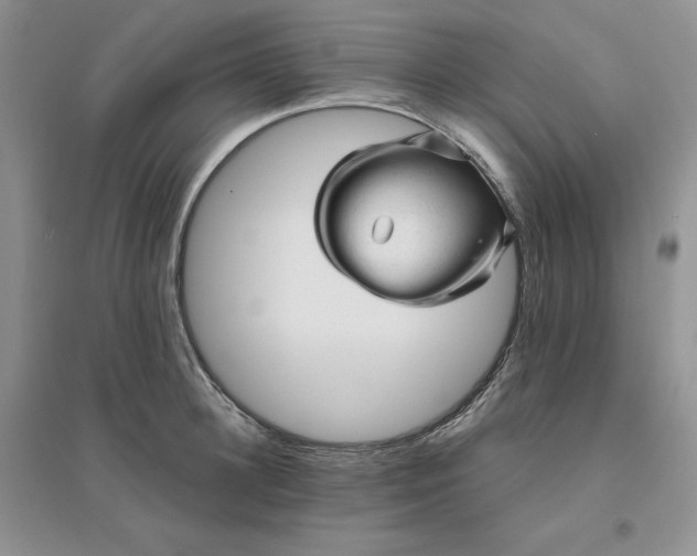 X0000096410948200802071652
