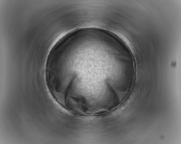X0000096410949200802071652