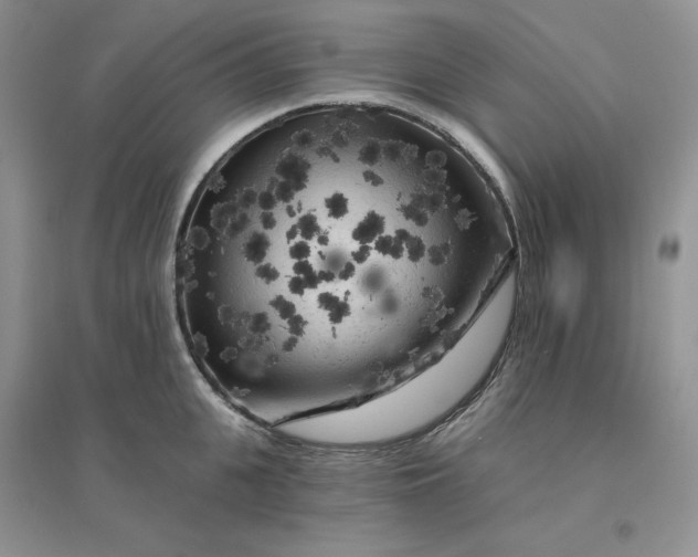 X0000096410951200802071652