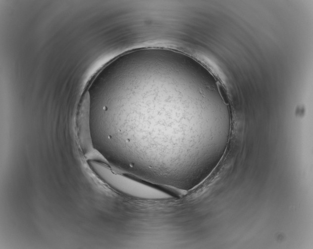 X0000096410952200802071652