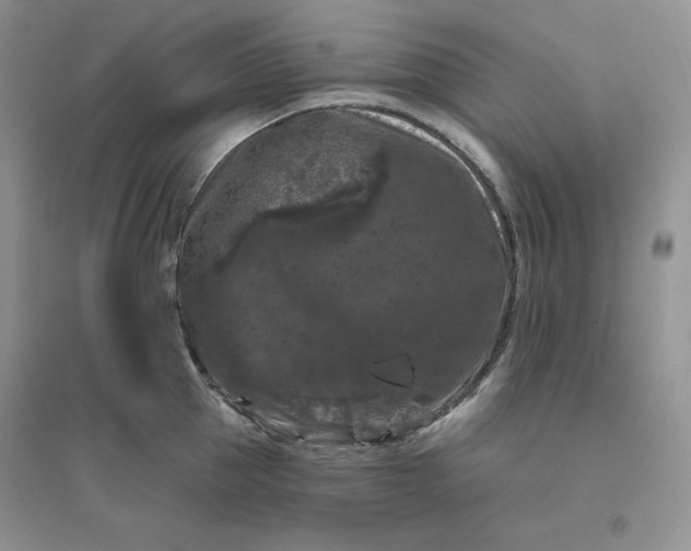 X0000096410953200802071652