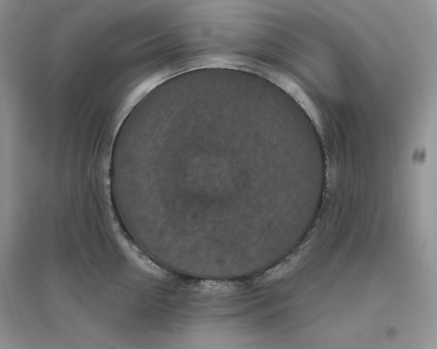 X0000096410954200802071652