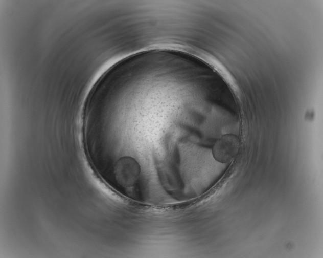 X0000096410955200802071652