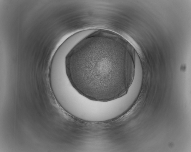 X0000096410956200802071652