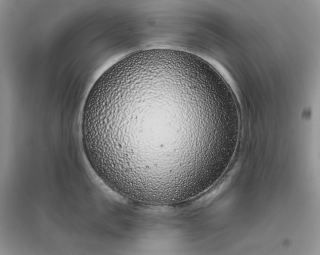 X0000096410957200802071652