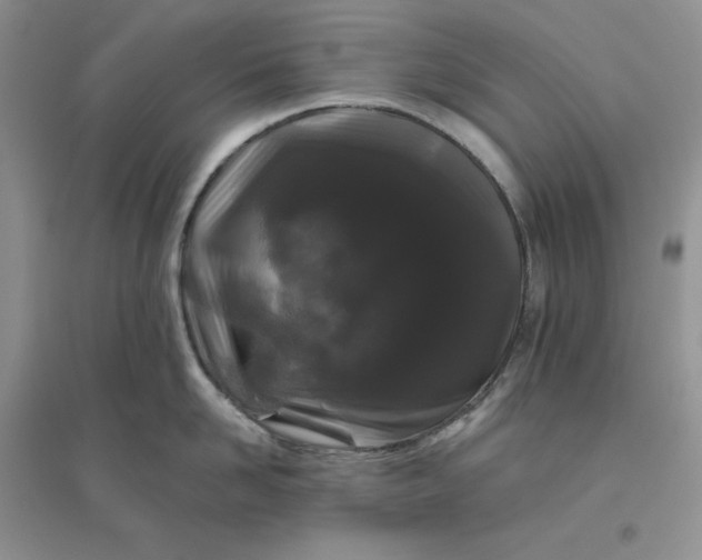 X0000096410958200802071652