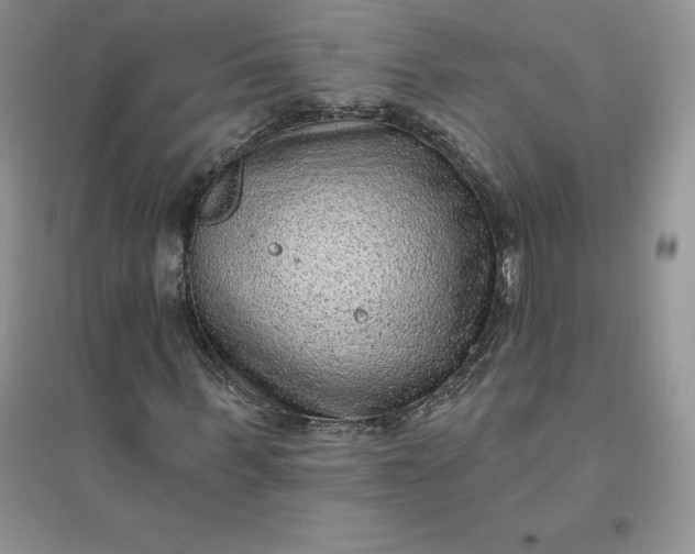 X0000096410963200802071651