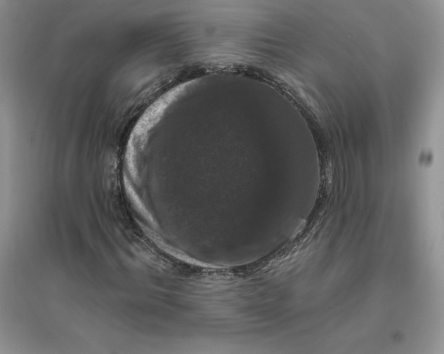 X0000096410964200802071651