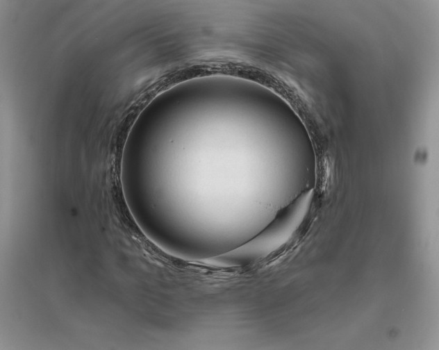 X0000096410965200802071651