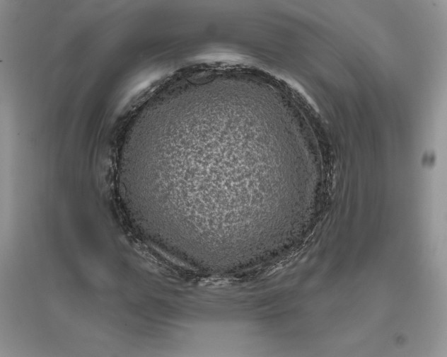 X0000096410967200802071651