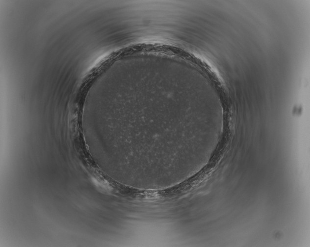 X0000096410968200802071651