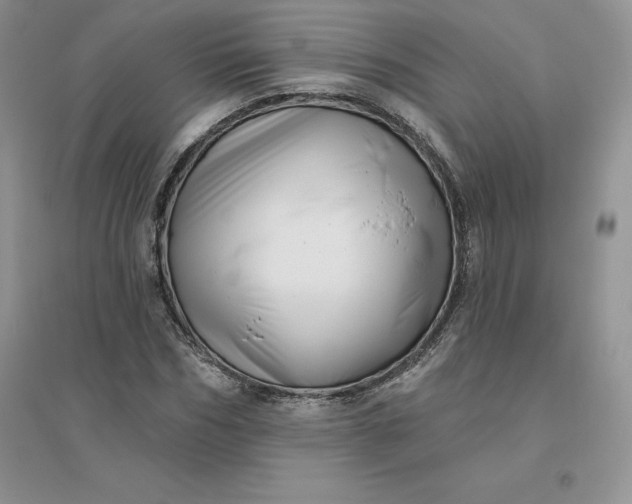 X0000096410970200802071651