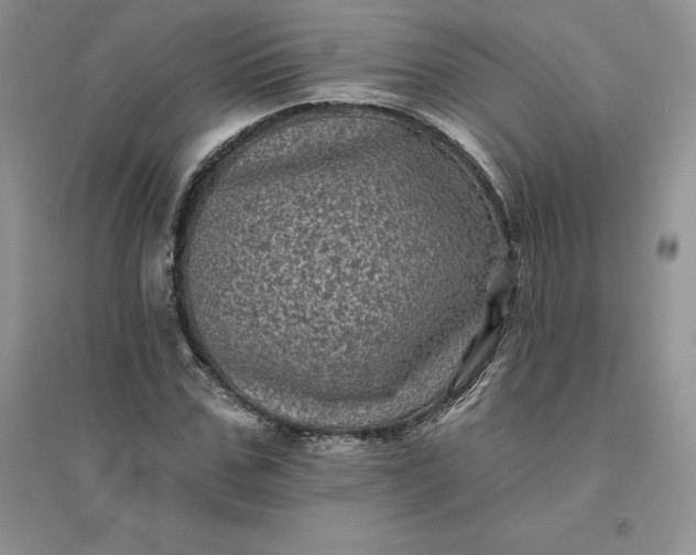 X0000096410971200802071651