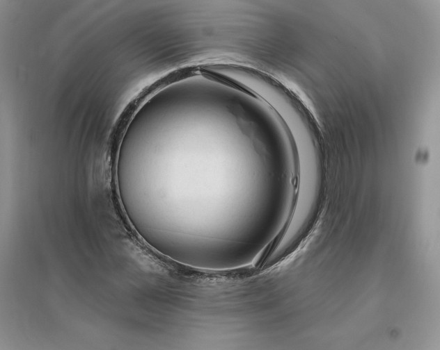 X0000096410973200802071651