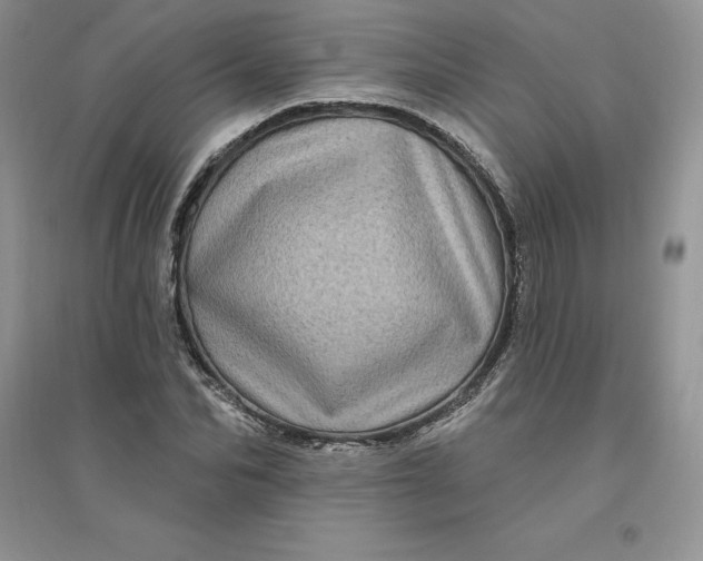 X0000096410974200802071651