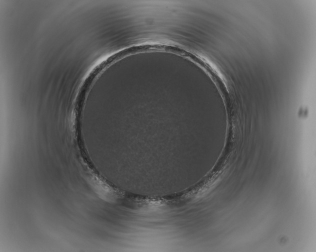 X0000096410975200802071651