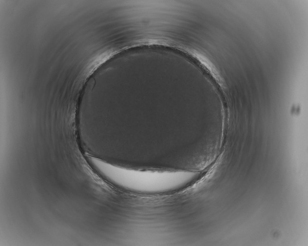 X0000096410977200802071651