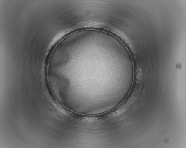 X0000096410978200802071651