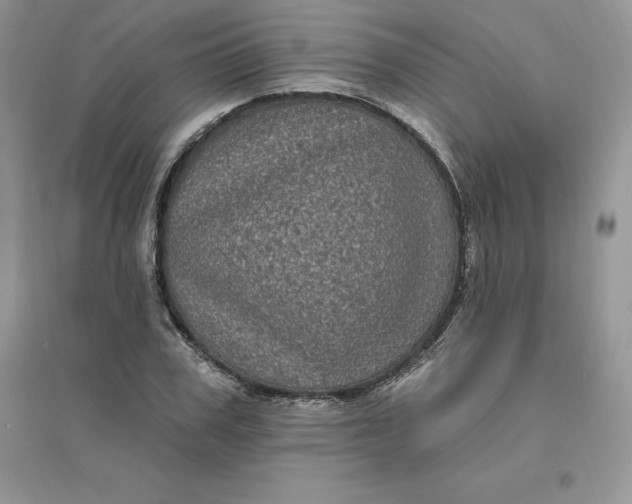 X0000096410979200802071651