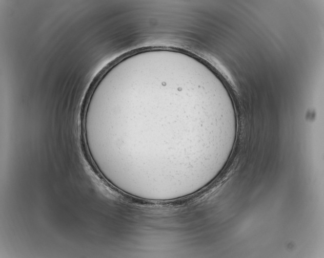 X0000096410980200802071651