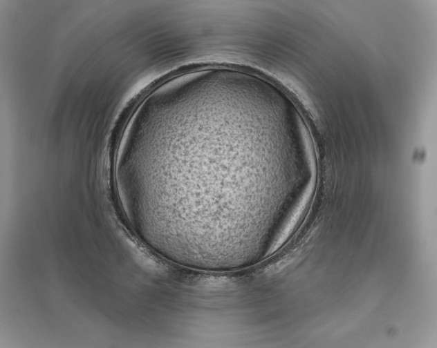 X0000096410982200802071651