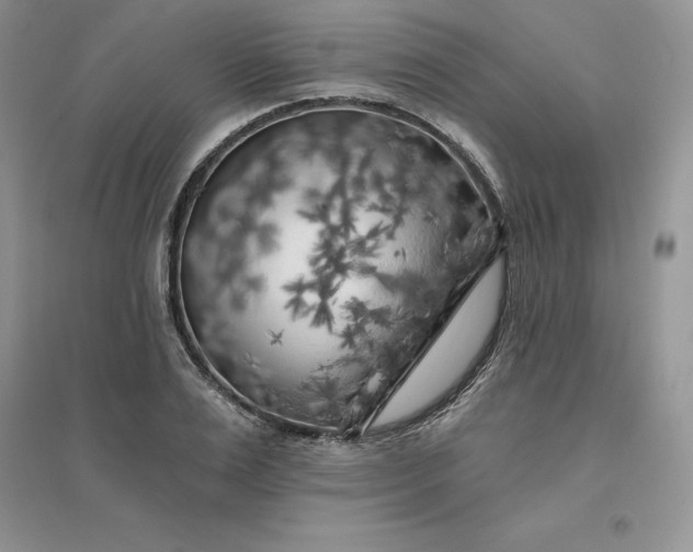 X0000096410983200802071651