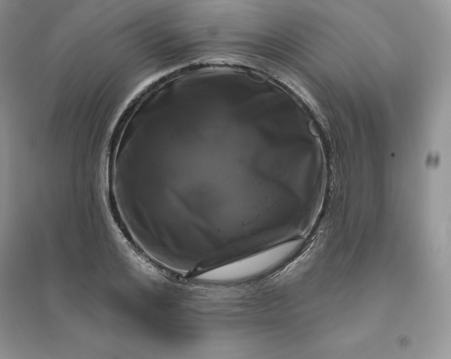 X0000096410984200802071651