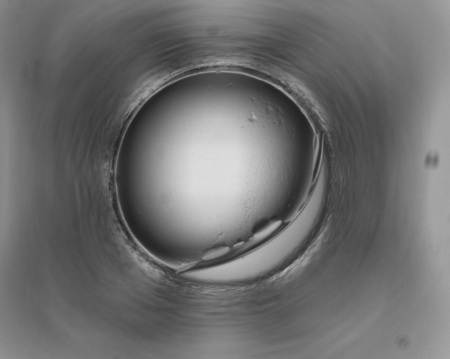 X0000096410985200802071651