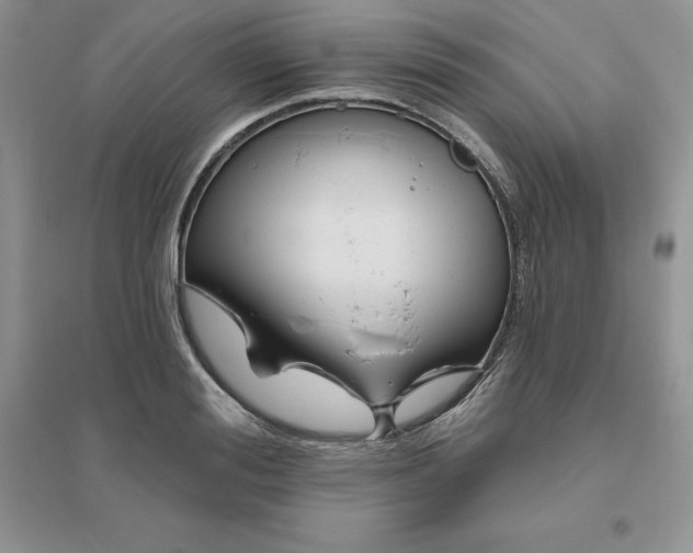 X0000096410988200802071651