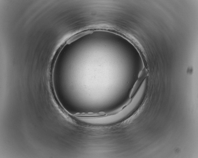 X0000096410989200802071651