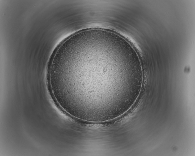 X0000096410991200802071651