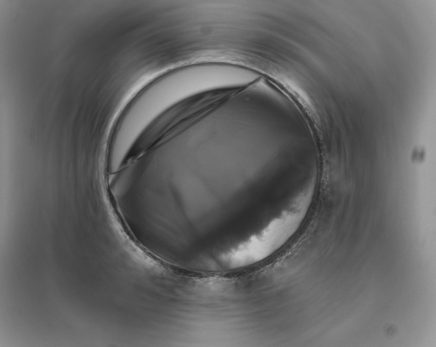 X0000096410992200802071651