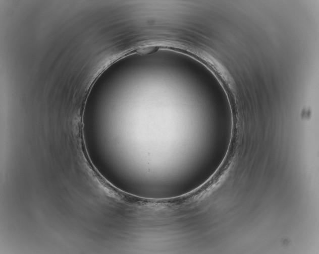 X0000096410993200802071651