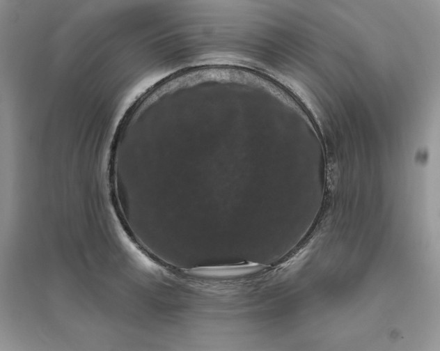 X0000096410995200802071651