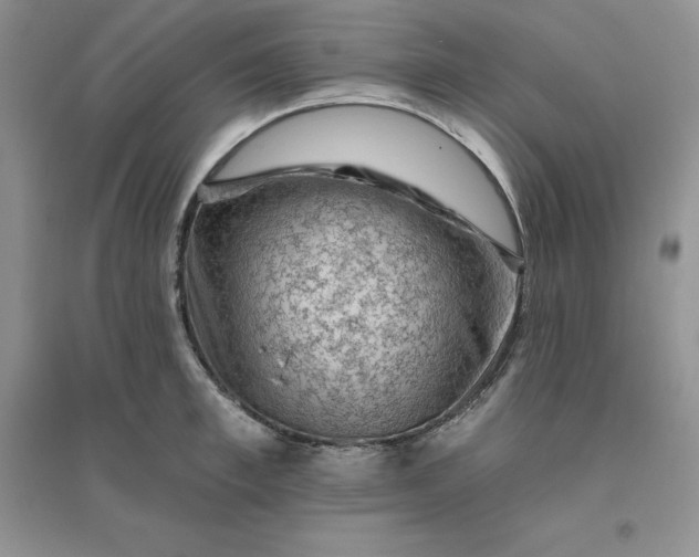 X0000096410997200802071651
