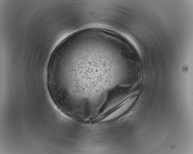 X0000096410999200802071651