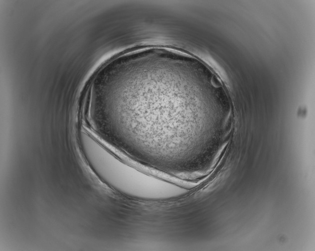 X0000096411000200802071651