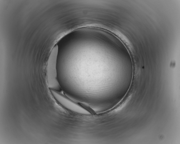 X0000096411001200802071651