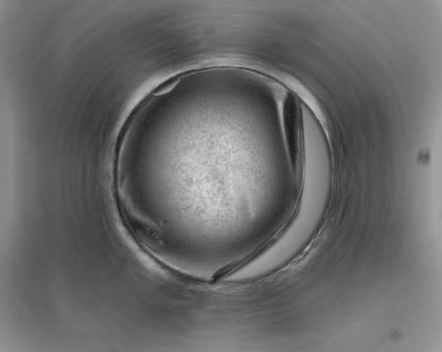 X0000096411005200802071650