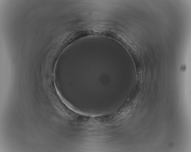 X0000096411009200802071650