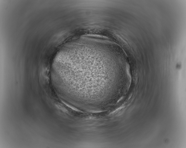 X0000096411010200802071650
