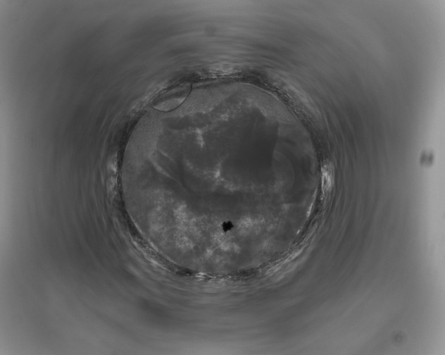 X0000096411011200802071650