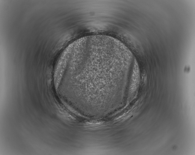 X0000096411012200802071650