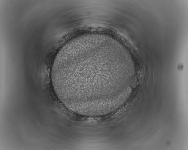 X0000096411013200802071650